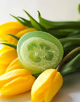 Eucalyptus Yuzu Loofah Soap