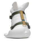 Knick Knack Paddywhack | Set of Dog Gear $103 value