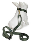 Knick Knack Paddywhack | Set of Dog Gear $103 value