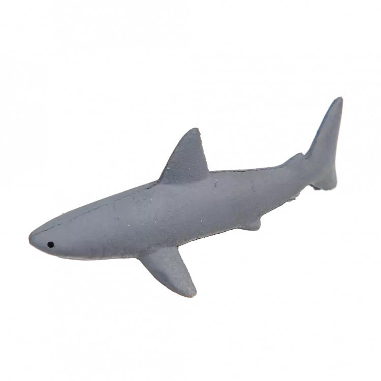 Grow your own shark