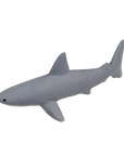 Grow your own shark