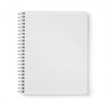 Blue Mondo Notebook