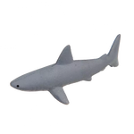Grow your own shark