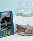 Grow your own shark