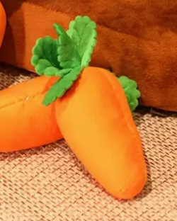 Stuffed Carrot